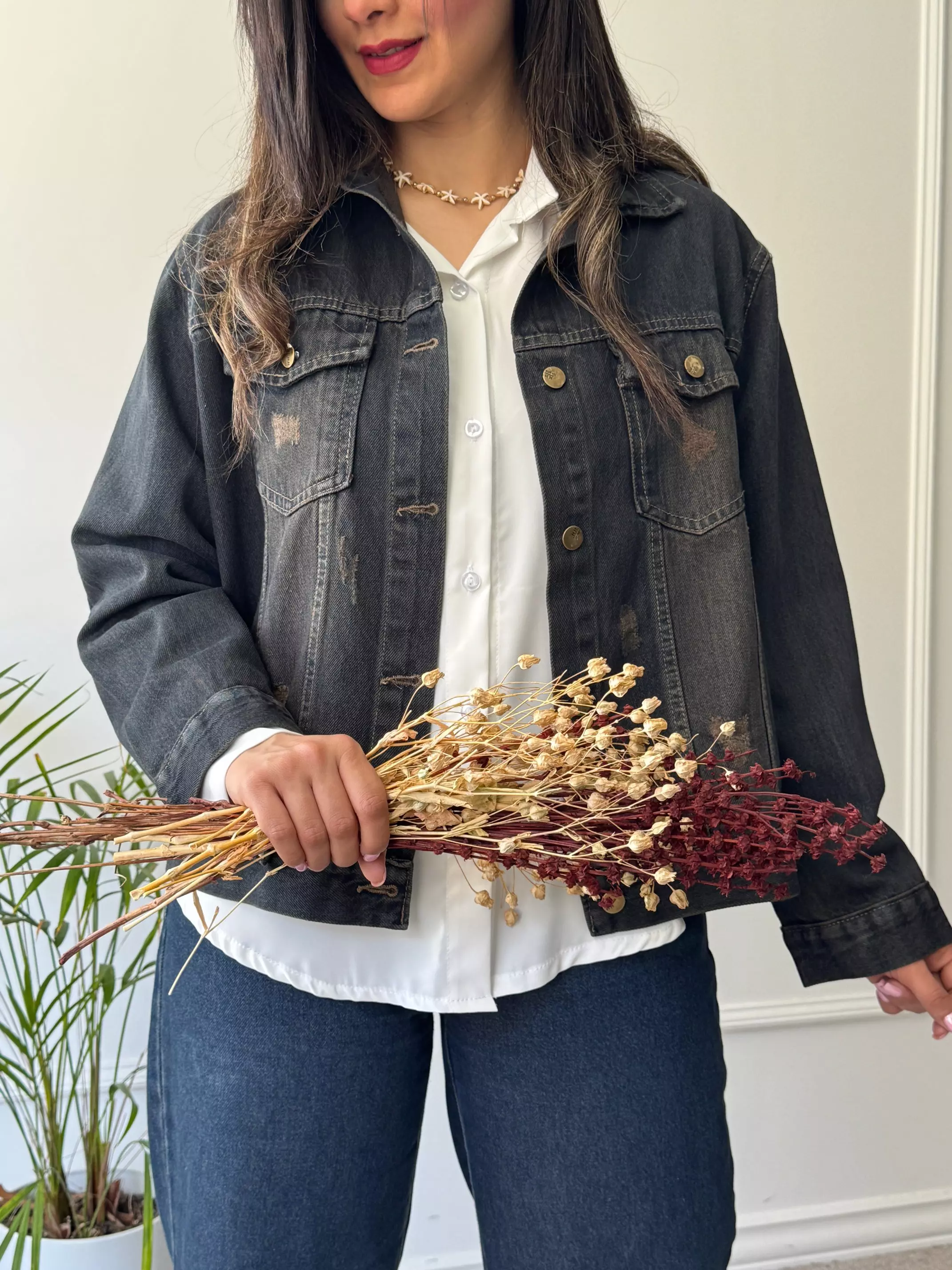 کت جین پرستو